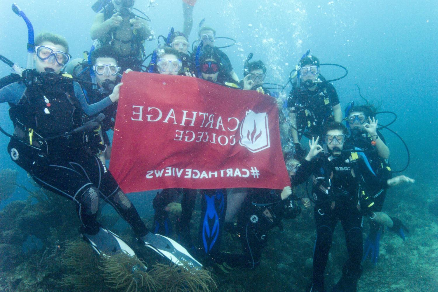 学生们手持<a href='http://lmii.ngskmc-eis.net'>博彩网址大全</a>旗帜，在j学期洪都拉斯游学之旅中潜水.